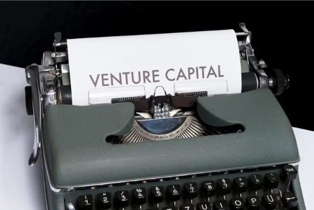 Traditional VCs