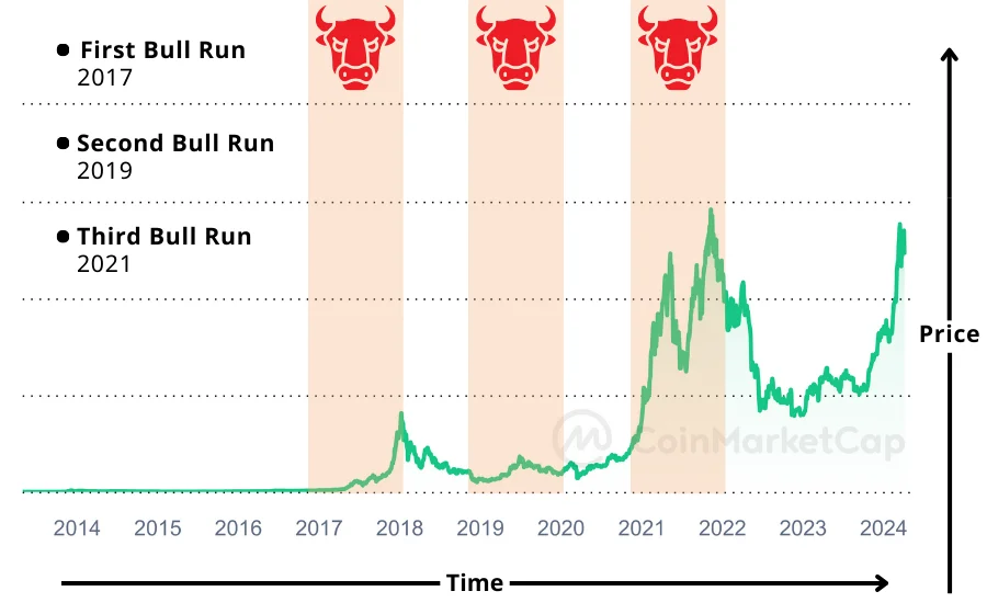 Crypto-Bull-Market