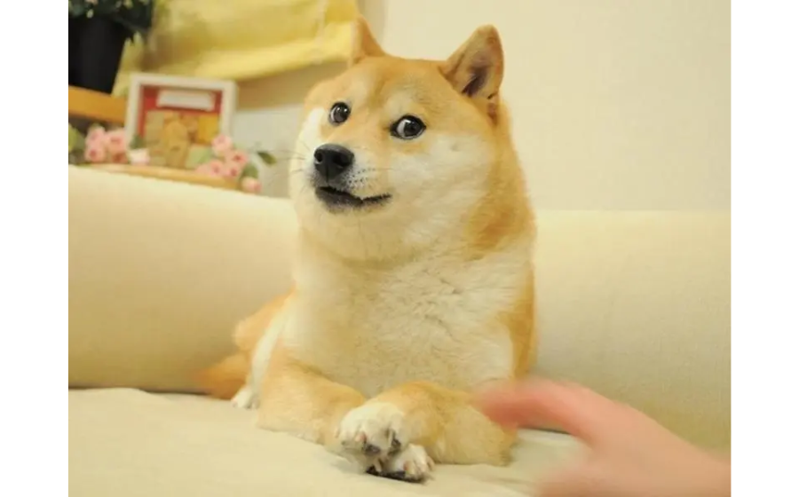 DOGE