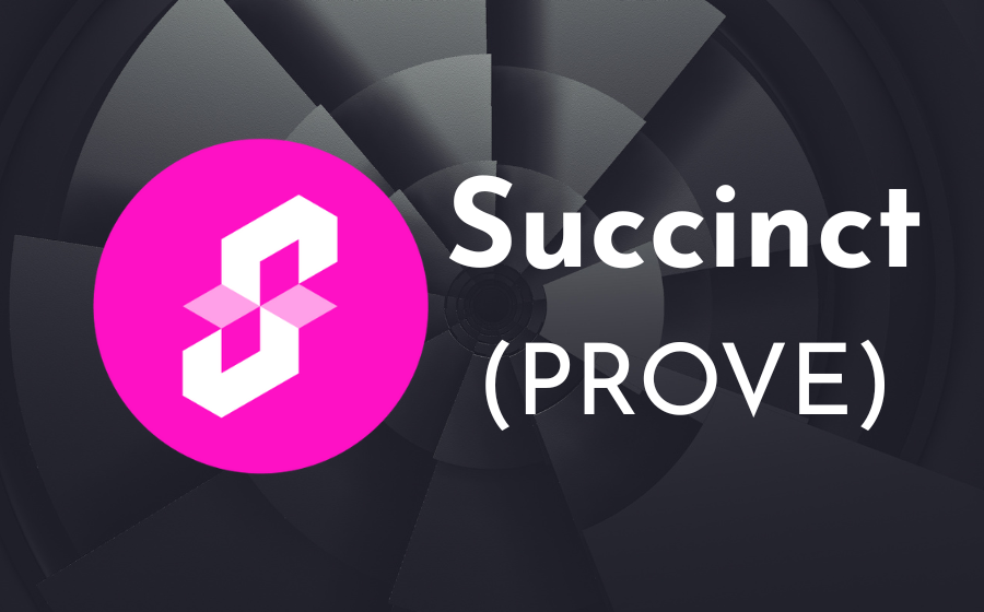Succinct Explained: What is PROVE?