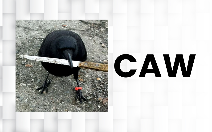 What is Crow with Knife? CAW Memecoin Explained