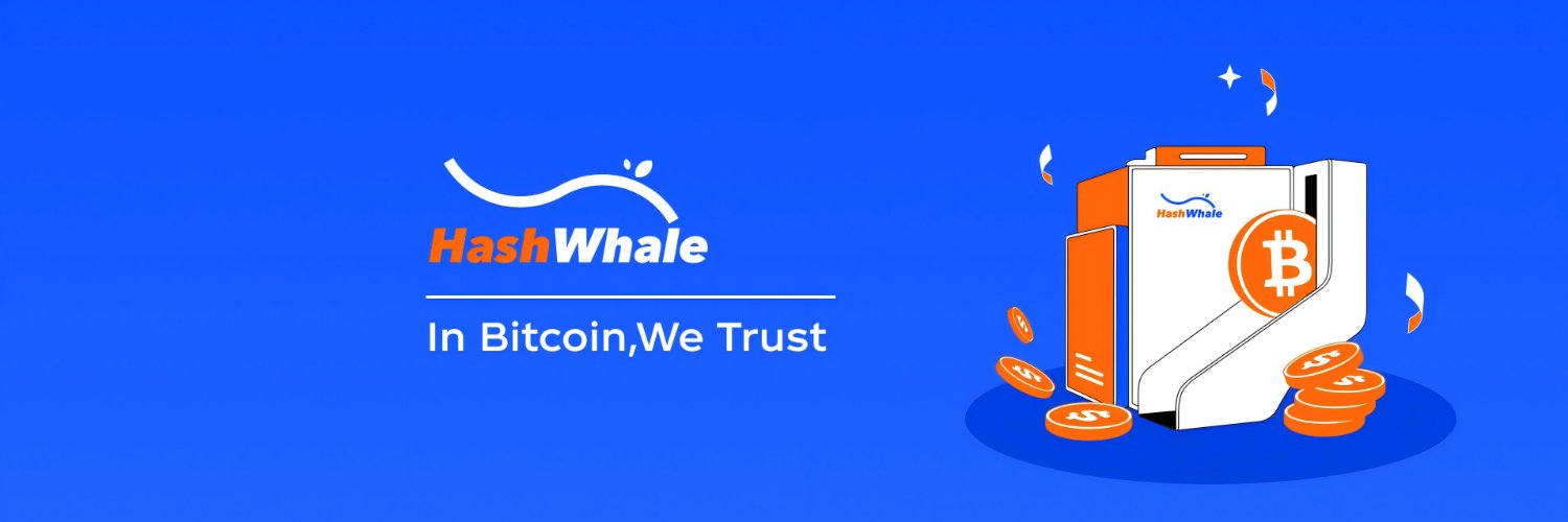 HashWhale operational overview